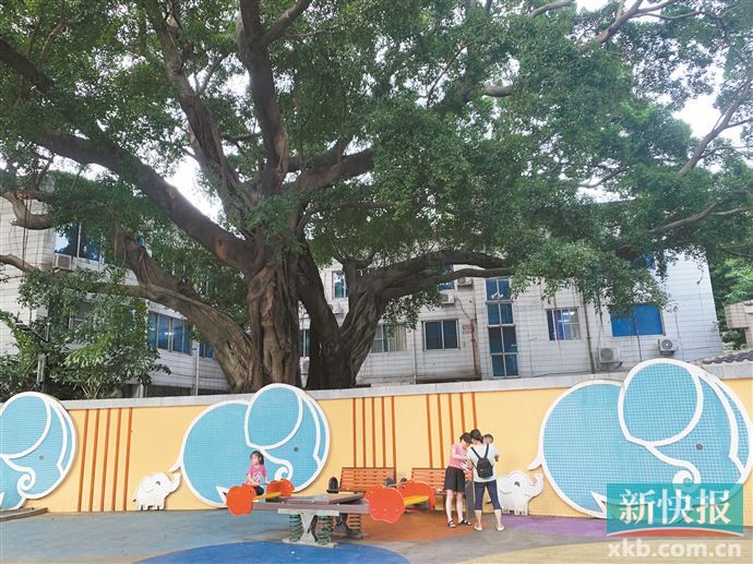 九游app：廣州公園或?qū)⒃黾宇愃婆蕩r、滑板場等新穎游樂設(shè)施(圖6)
