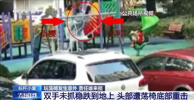 兒童玩蕩椅意外身亡 責(zé)任誰來擔(dān)？(圖2)