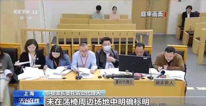 兒童玩蕩椅意外身亡 責(zé)任誰來擔(dān)？(圖8)