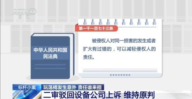 兒童玩蕩椅意外身亡 責(zé)任誰來擔(dān)？(圖12)