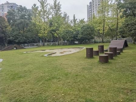 濱州市第二批赴上?！绑w悟?qū)嵱?xùn)”隊(duì)開啟學(xué)習(xí)實(shí)踐之旅——在黃浦江畔汲取智慧 助力濱州口袋公園建設(shè)(圖3)