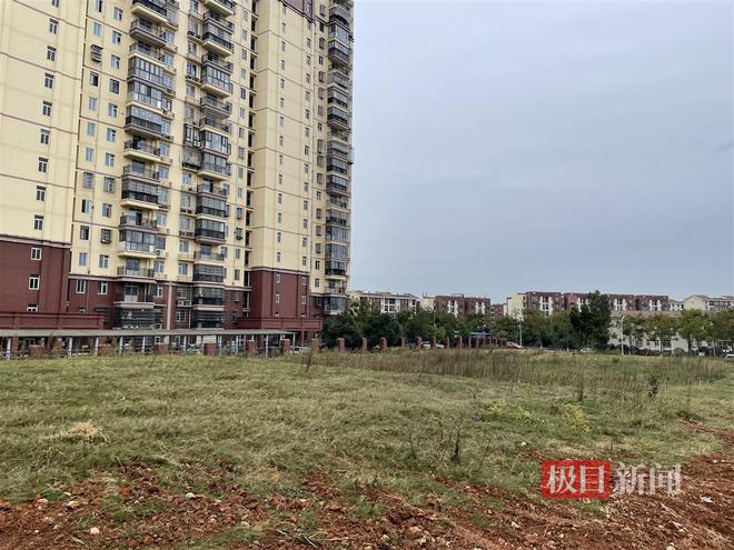 極目幫辦｜武漢光谷一公園啟動建設(shè)兩年后遍地雜草多方回應(yīng)建設(shè)進展(圖3)