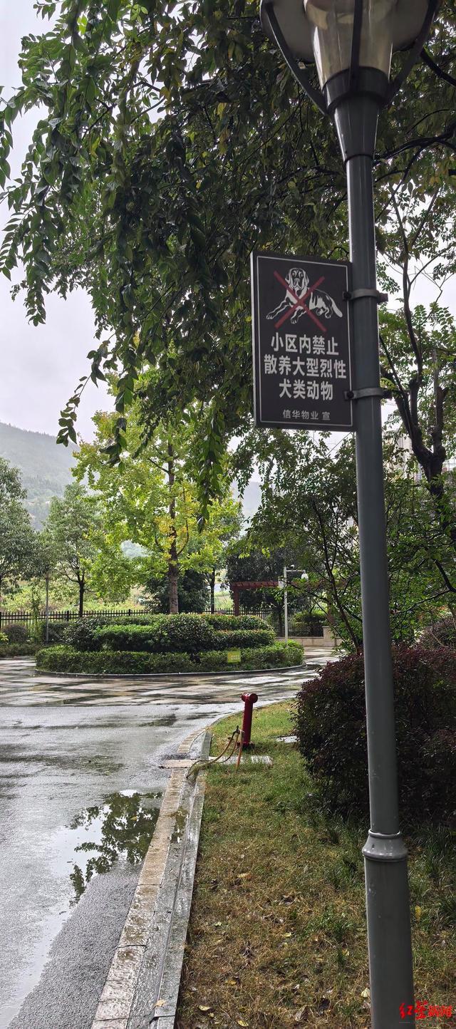 九游娛樂(lè)：1歲10個(gè)月女童小區(qū)內(nèi)被狗咬傷：監(jiān)控還原事發(fā)經(jīng)過(guò)警方初步確定為流浪狗(圖4)