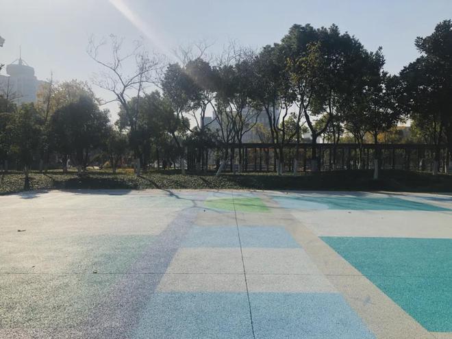 南湖體育公園建成開放(圖7)