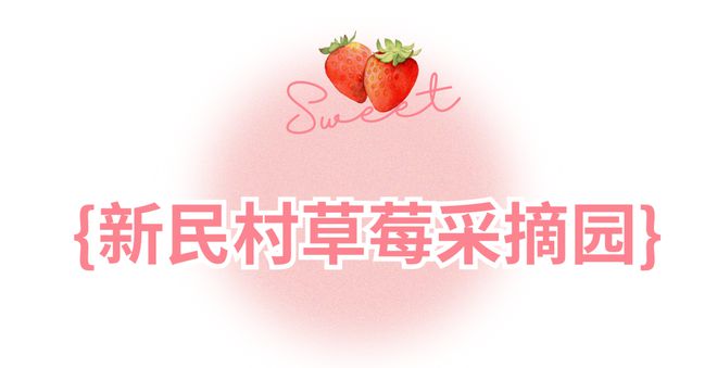 哇塞！蔡甸草莓采摘季開啟超全攻略速看→(圖4)
