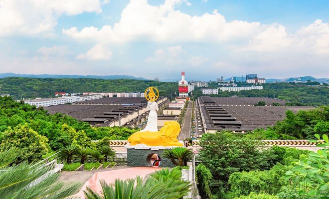 五糧液2024年度營收89175億分紅總額223億創(chuàng)新高！(圖2)